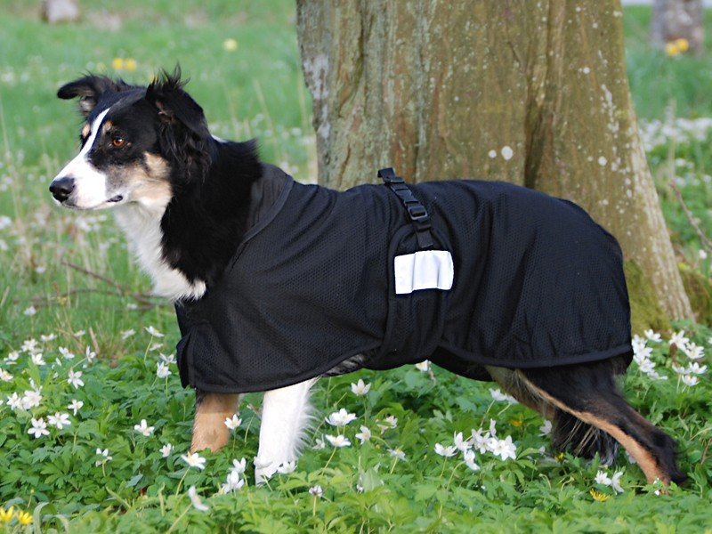 Back on Track Hund Nättäcke Small rygglängd 21-40 cm Back on Track Hund Nättäcke Small rygglängd 21-40 cm